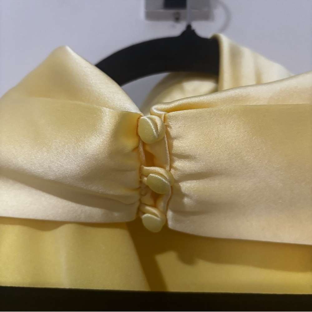 Sau Lee PENELOPE BACKLESS SATIN GOWN Size 14 - Picture 8 of 10